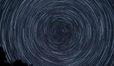 紫微斗数十二宫位命盘圆形图，星曜排布清晰，适合初学者学习排盘